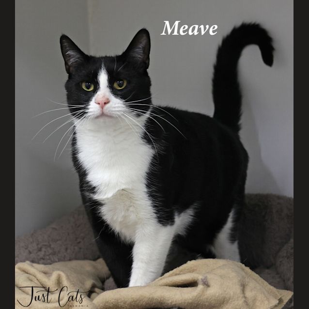 Photo of Meave