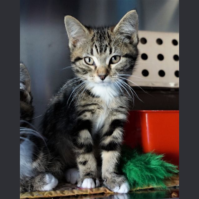 Photo of Arthur