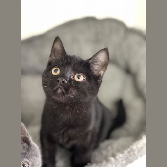 Photo of Buffy