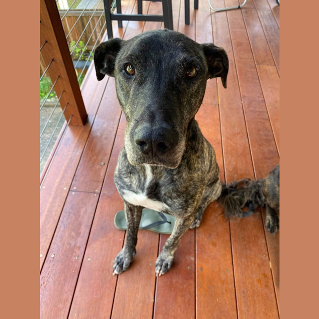 Photo of Murphy