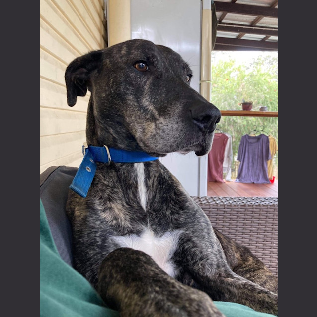 Photo of Murphy