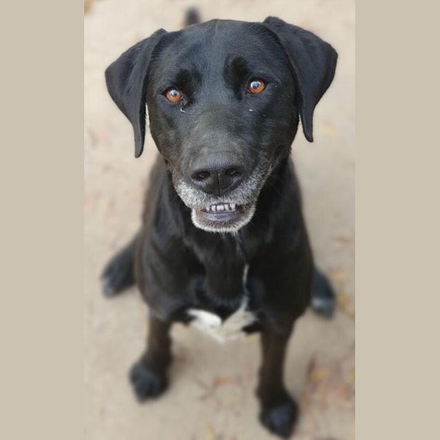 Photo of Mailee