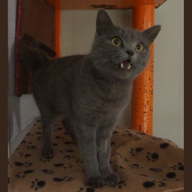 Photo of Teri