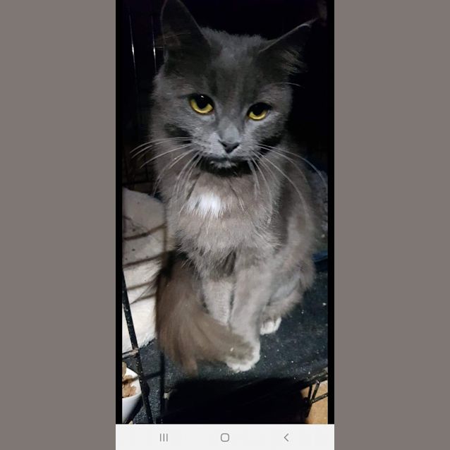 Photo of Lilah 