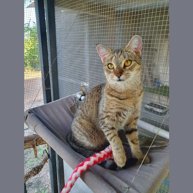 Photo of Cleo