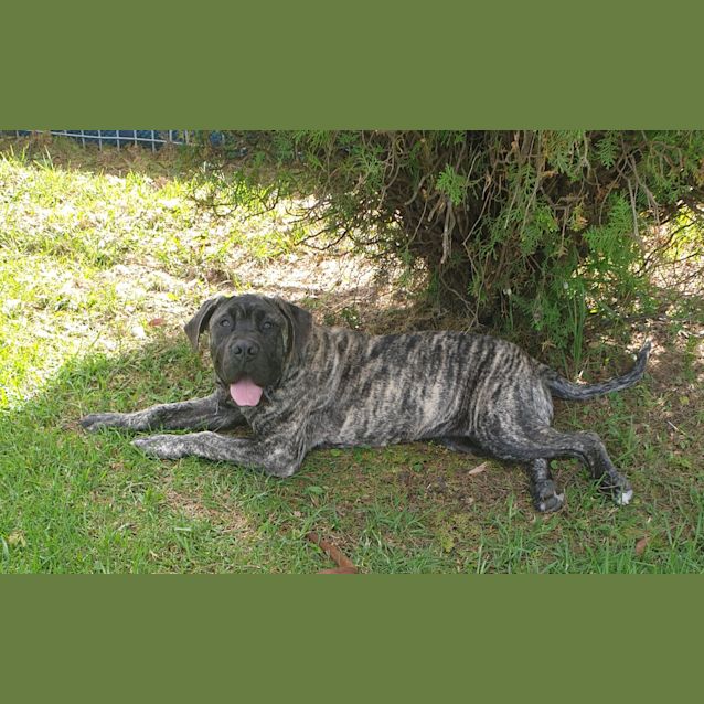 Photo of Kenai