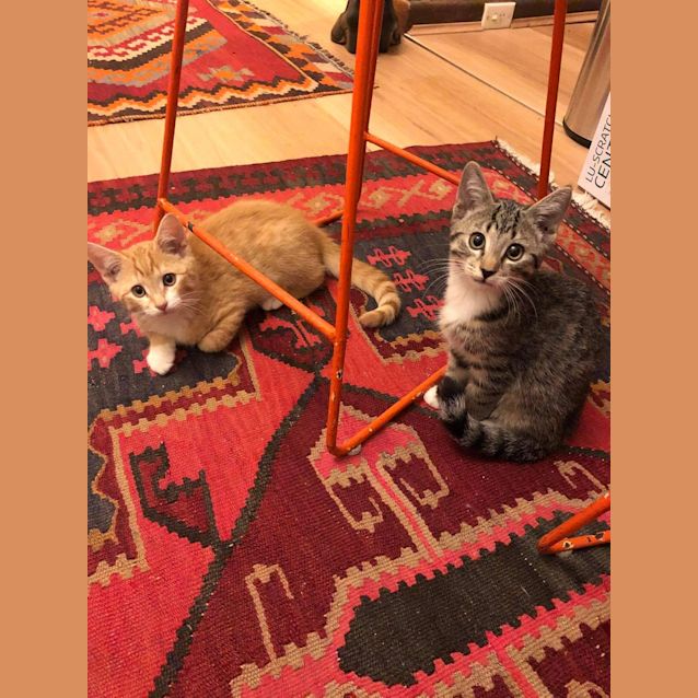 Photo of Calvin And Hazel