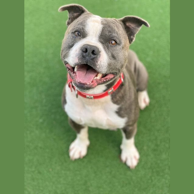 Photo of Chunker