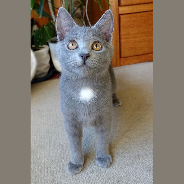 Photo of Hamish