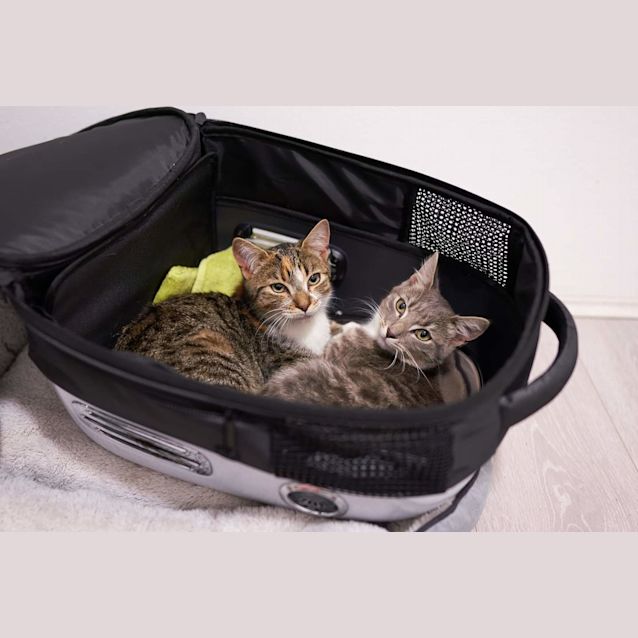 Photo of Andy And Soraya