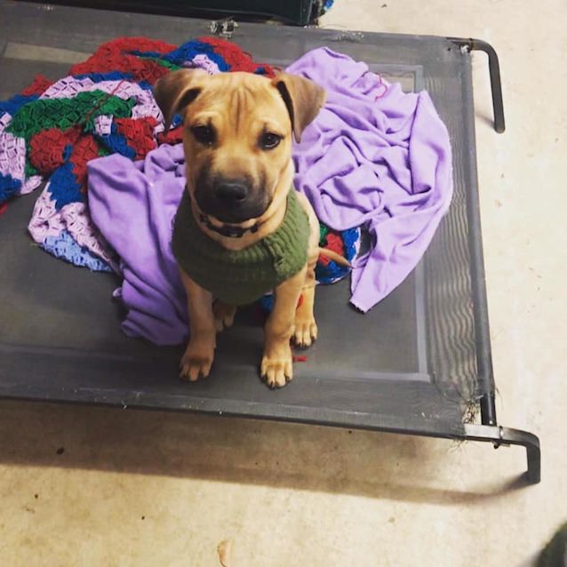 Photo of Hershey