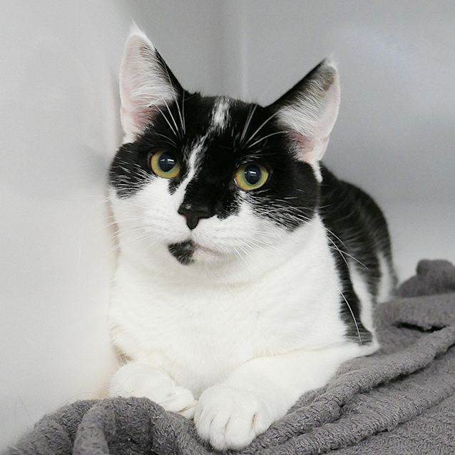 Photo of Minty Suk008542