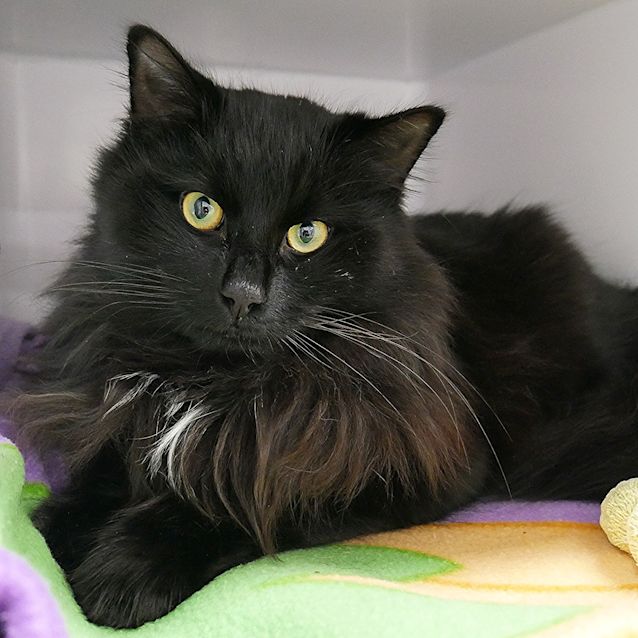 Photo of Lenny Sta006425