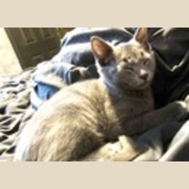 Photo of Fern (Was Tuna)