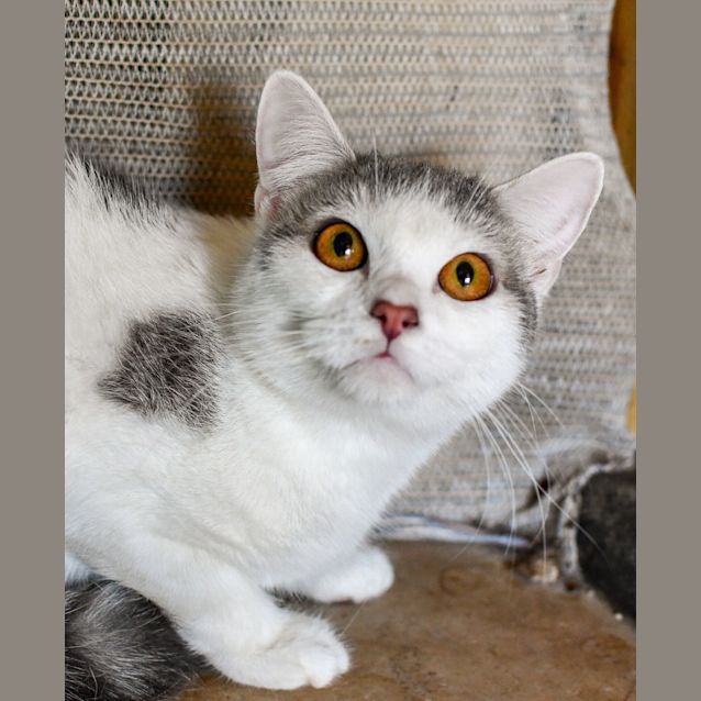 Photo of Princess