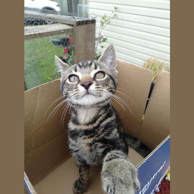 Photo of Jethro