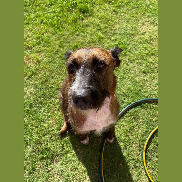 Photo of Chase Dl2660