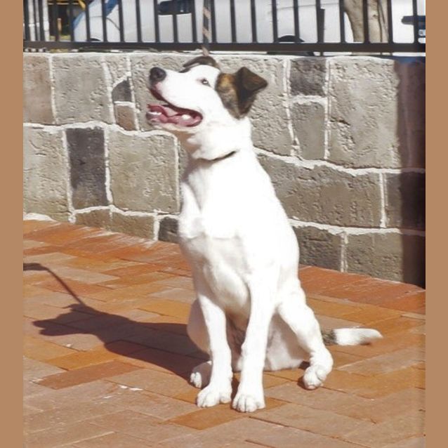 Photo of Tiffin