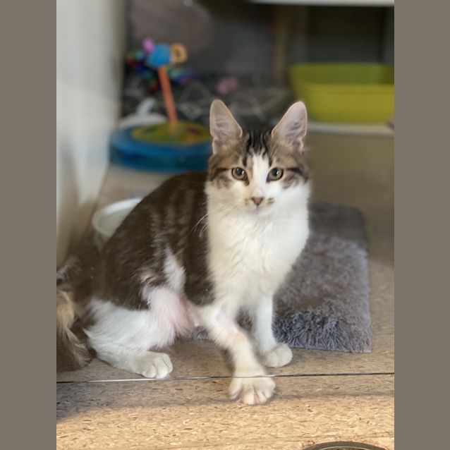 Photo of Tuesday