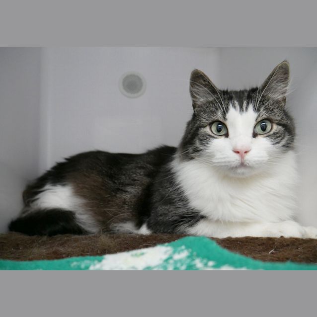 Photo of Toby Sua008577