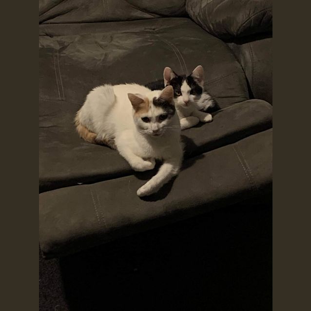 Photo of Barkley And Sage ❤❤