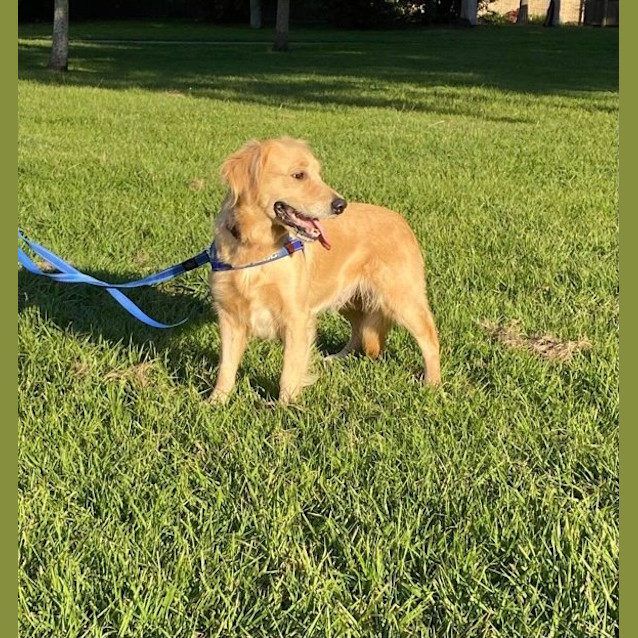 Photo of Ruby
