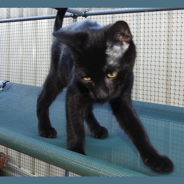 Photo of Clint Eastwood