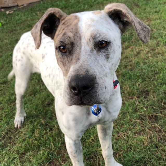 Photo of Penny 