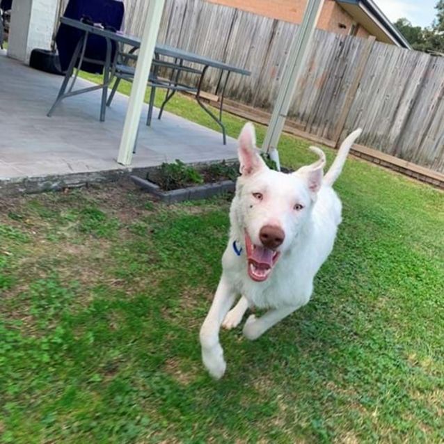 Photo of Ghost