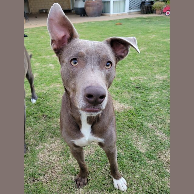 Photo of Narly Dl2658