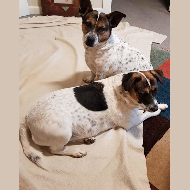 Photo of Aunty   And   Dj