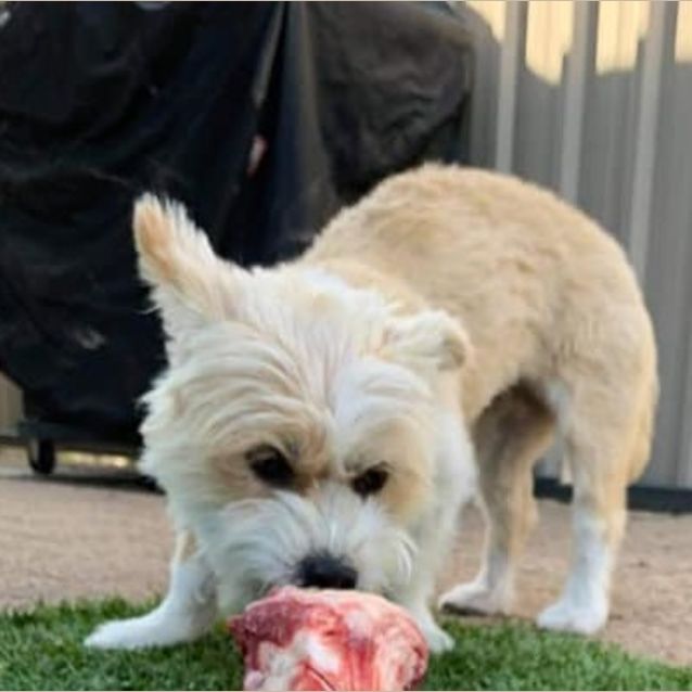 Photo of Nahla Dl1671