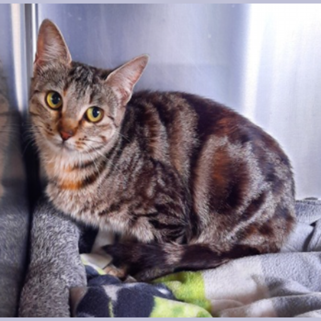 Photo of Freya