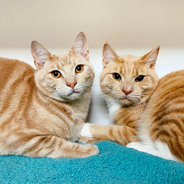 Photo of Kevin & Larry