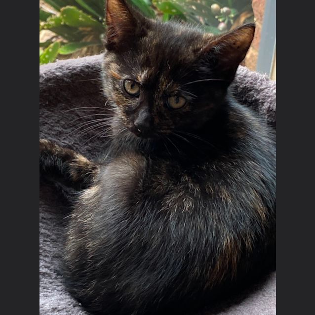 Photo of Kiki