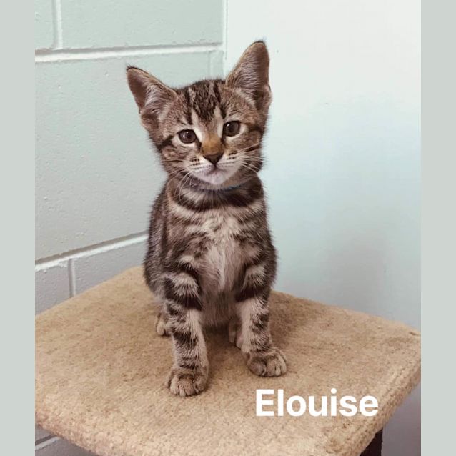 Photo of Elouise