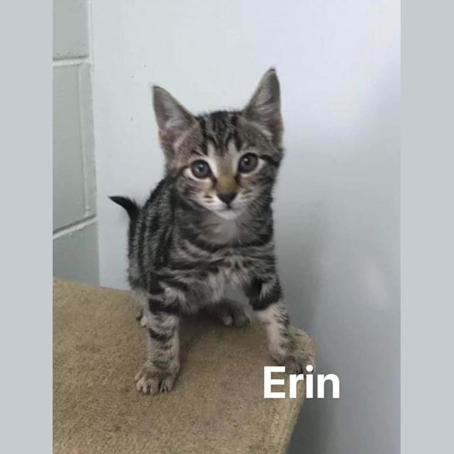 Photo of Erin