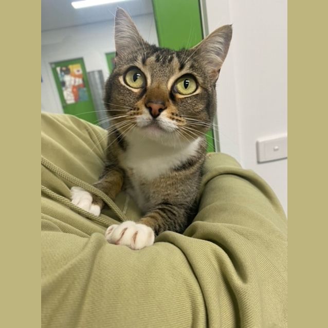 Photo of Tilly