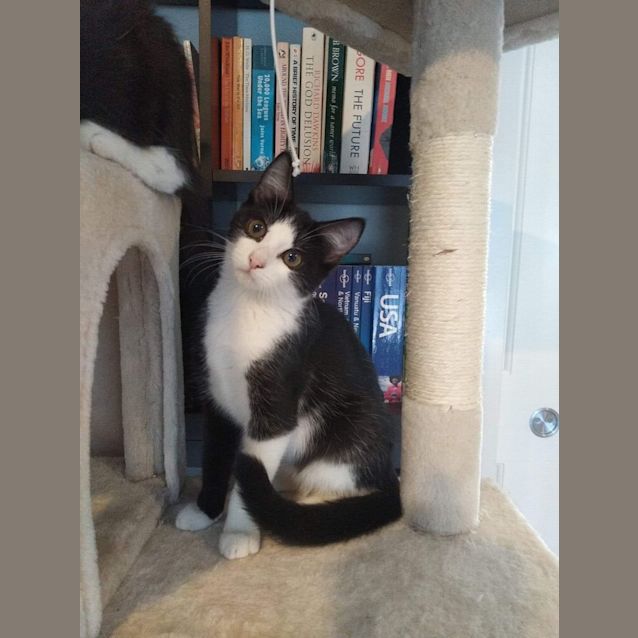 Photo of Angel