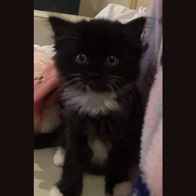Photo of Susie 