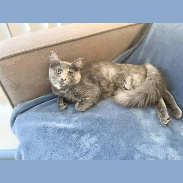 Photo of Chloe 💖