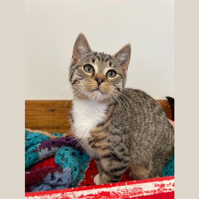 Photo of Wilbur