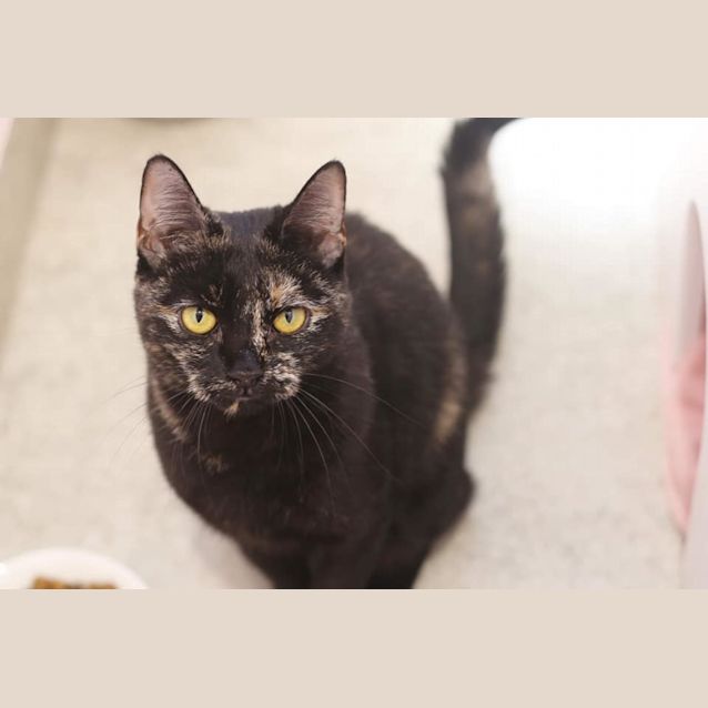 Photo of Cece 