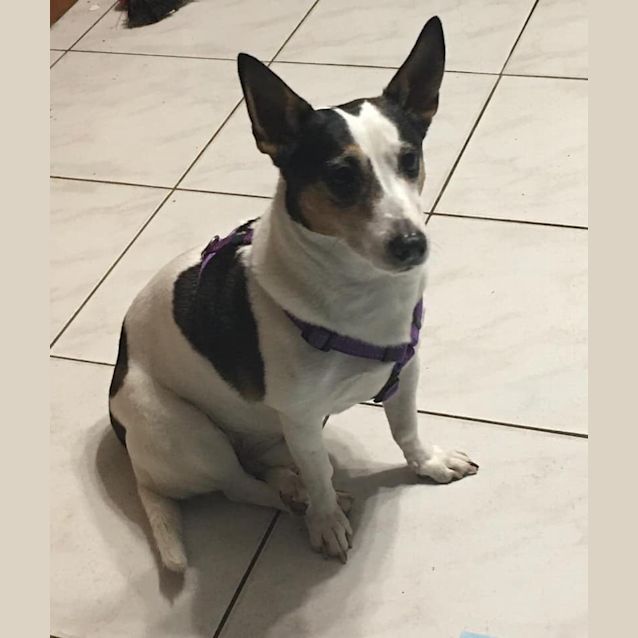 Photo of Buster