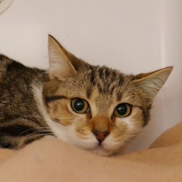 Photo of Amy Stk006353