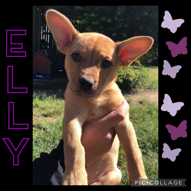 Photo of Elly