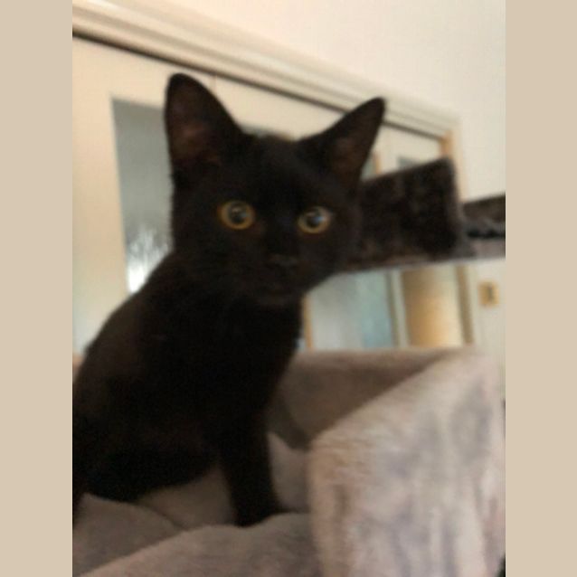 Photo of Amelia 
