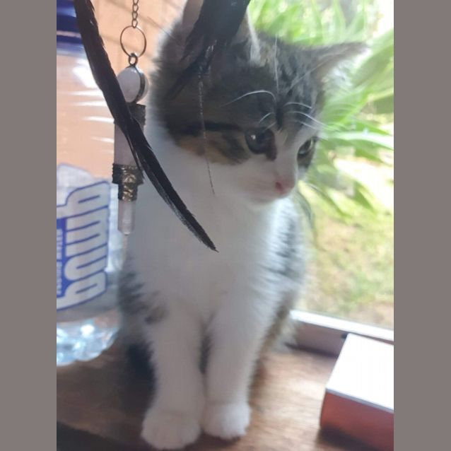 Photo of Jasmine