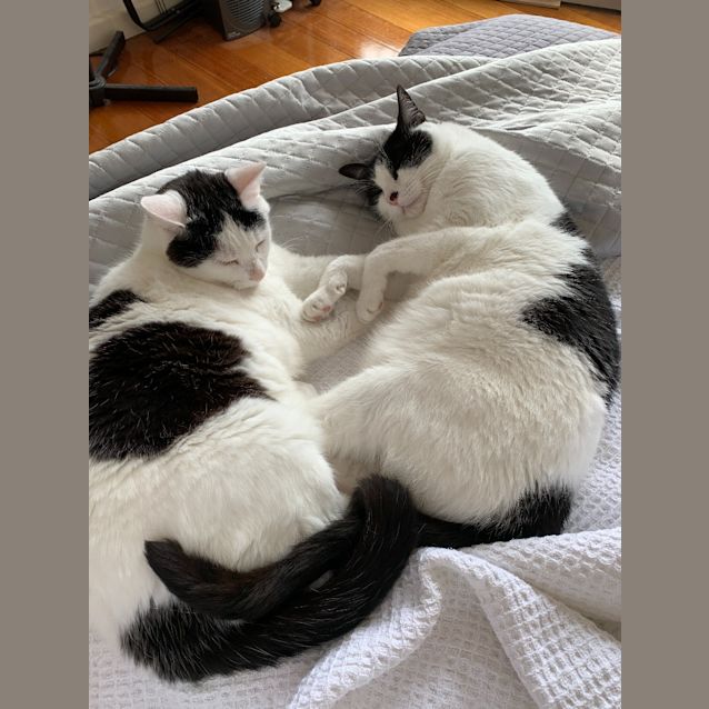 Photo of Bones & Skeletor