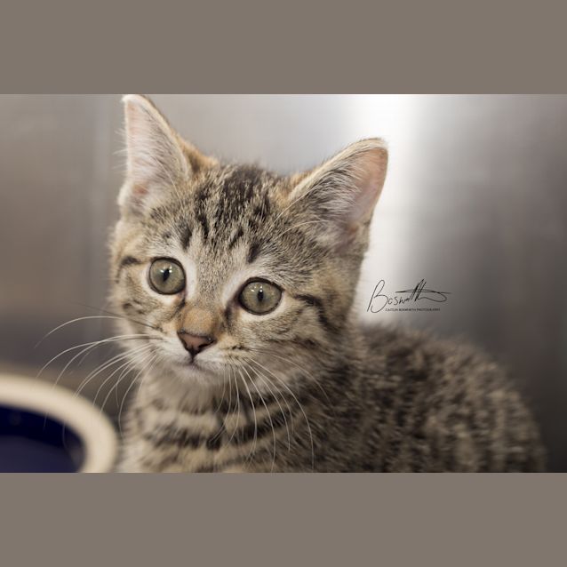Photo of Hugo